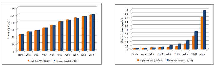 charts_calf_winter