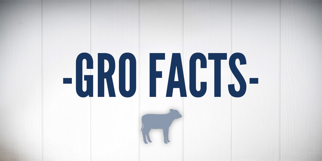 Gro Facts banner