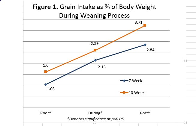 grain intake