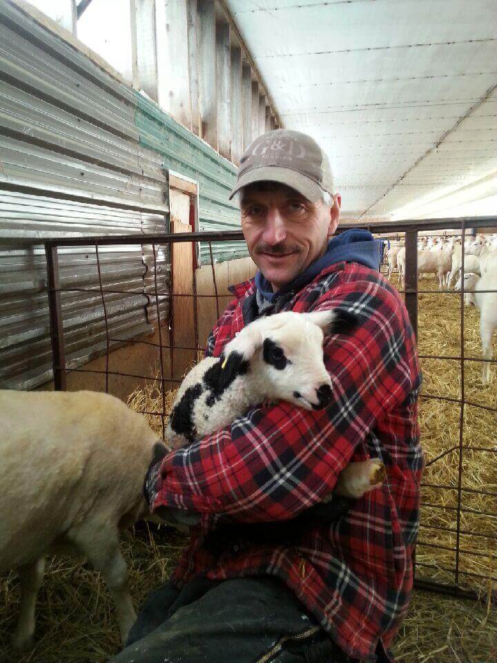Farmer holds newborn lamb on the farm