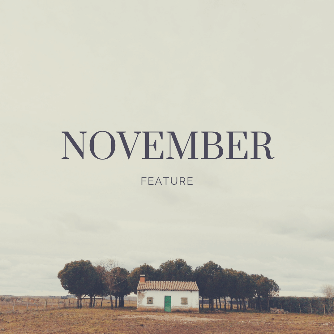 November feature home page