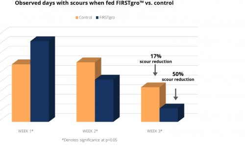 Observed days with scours when fed FIRSTgro vs control research graph