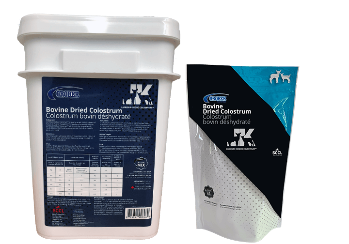 Pail+Pouch 2021
