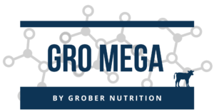 GroMega Logo Gro Mega logo