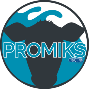 Promiks logo