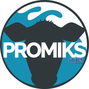 Promiks logo_2023